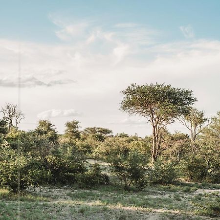 Maroelani Lodge- Greater Kruger Private Reserve โฮดสปรูท ภายนอก รูปภาพ