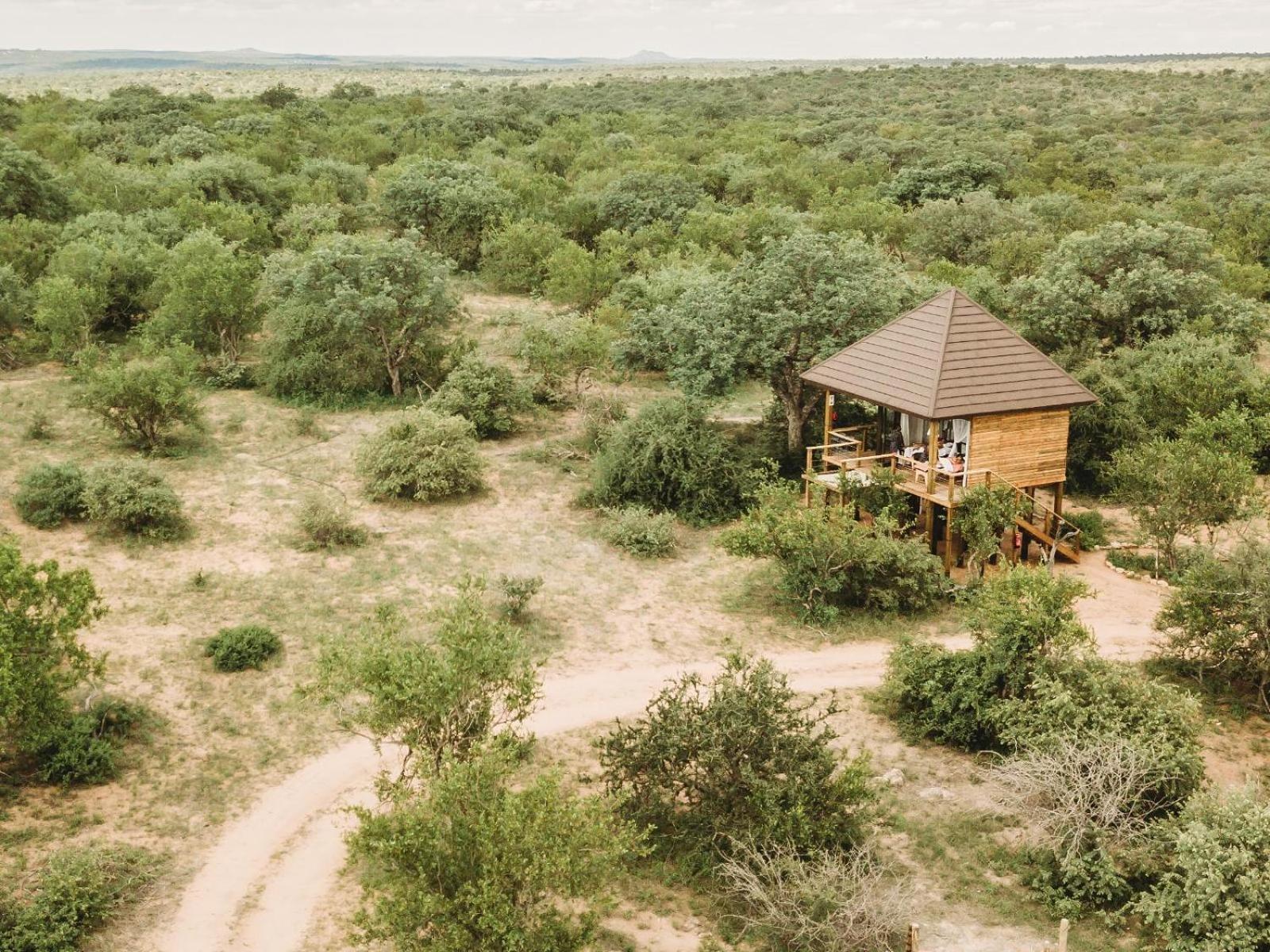 Maroelani Lodge- Greater Kruger Private Reserve โฮดสปรูท ห้อง รูปภาพ