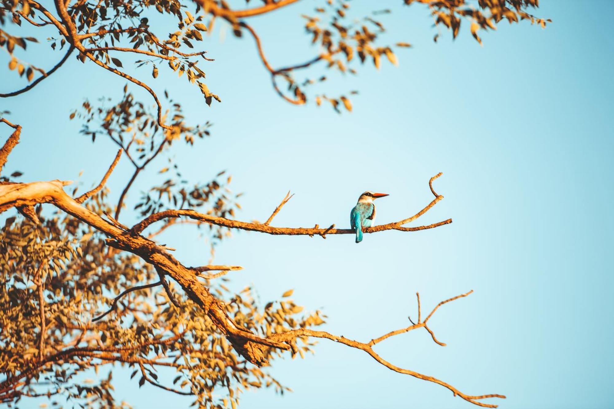 Maroelani Lodge- Greater Kruger Private Reserve โฮดสปรูท ภายนอก รูปภาพ