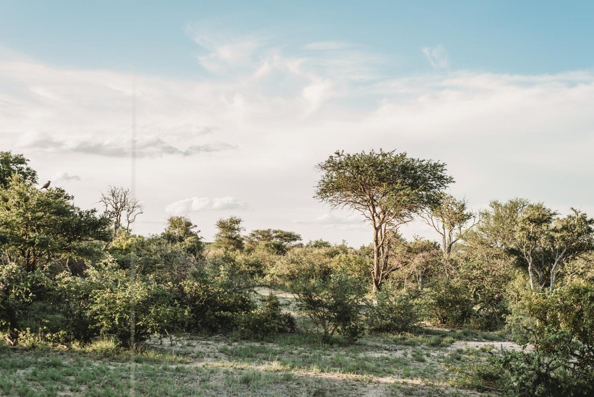 Maroelani Lodge- Greater Kruger Private Reserve โฮดสปรูท ภายนอก รูปภาพ